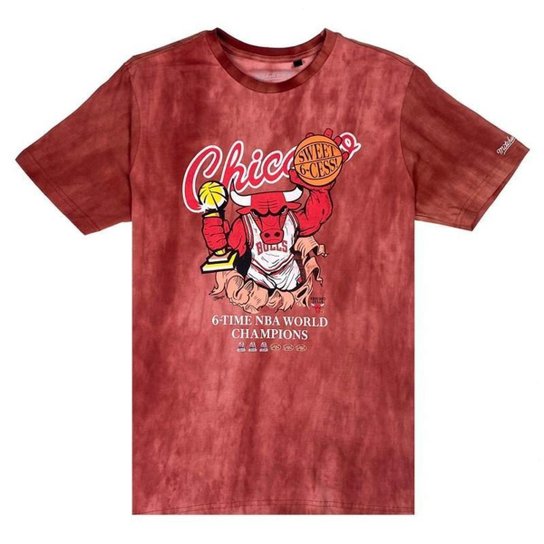 Camiseta NBA Chicago Bulls World Champions - Mitc