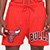 Shorts NBA Chicago Bulls Logo Classic Mesh Pro Standard Masculino - Vermelho